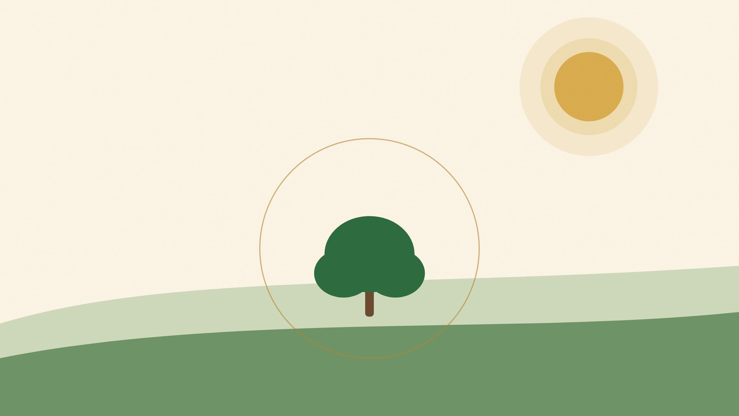 Single-Estate vs. Blended Olive Oil: Why It Matters