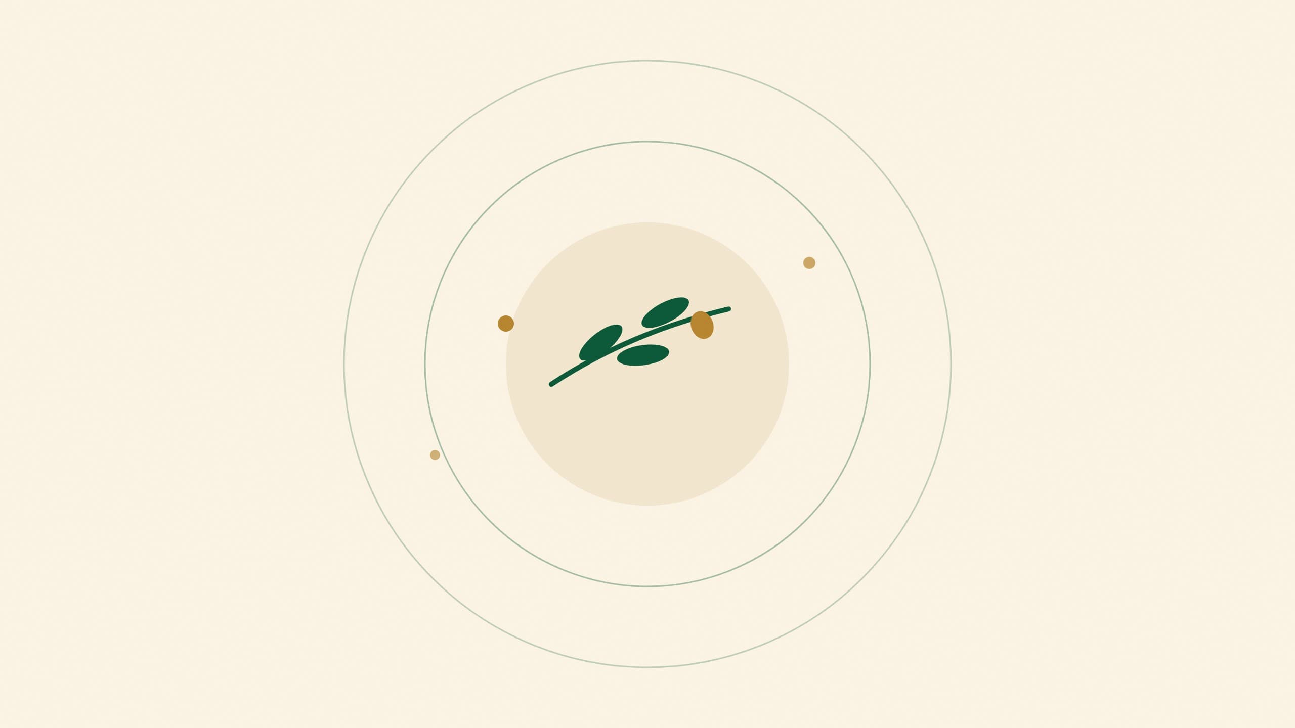 What Makes a High-Polyphenol Olive Oil?